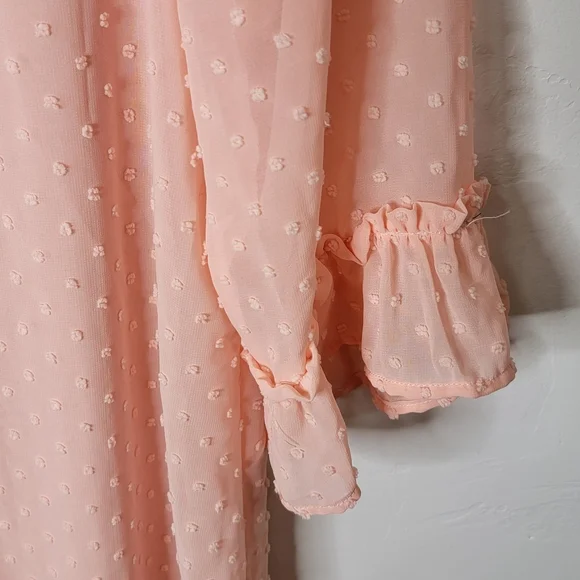Peachy Pink Swiss Dot Dress with High Smocked Collar - Picture 4 of 7